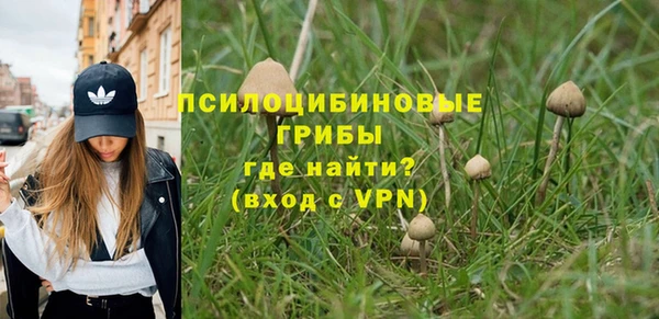 первитин Алексин