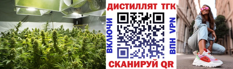 сколько стоит  Снежногорск  omg сайт  ТГК вейп 