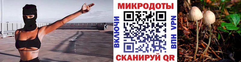 Псилоцибиновые грибы мицелий Снежногорск